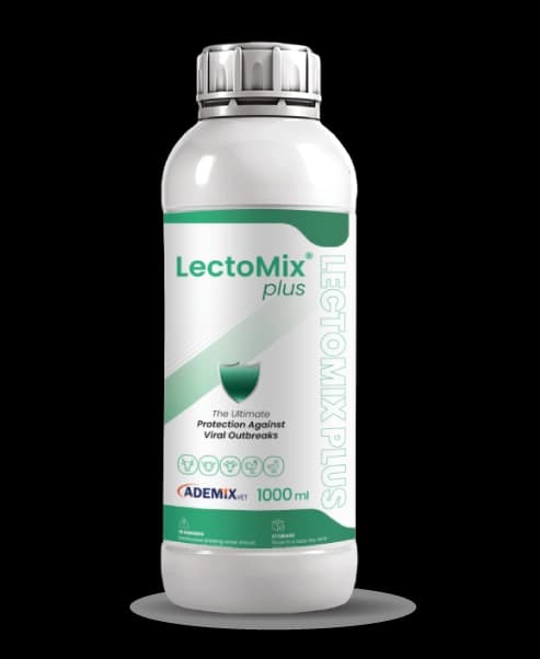 Boost Immunity,  Protect Performance