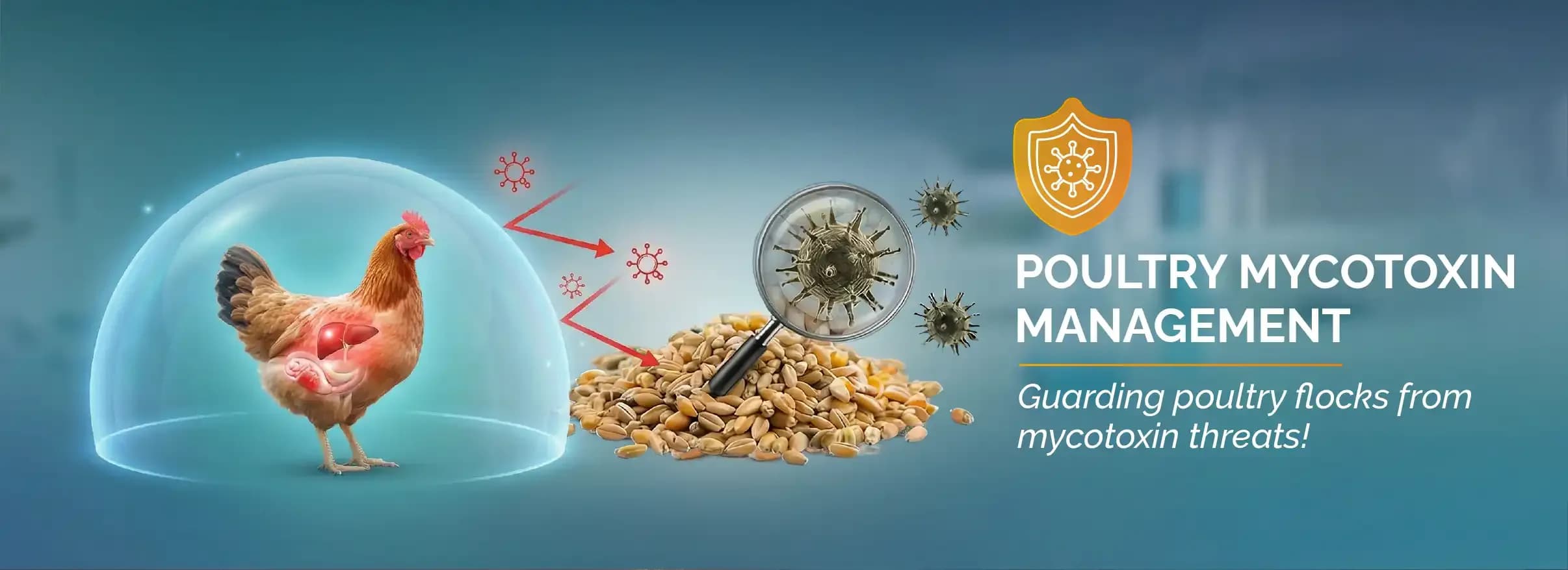 Poultry Mycotoxin Management