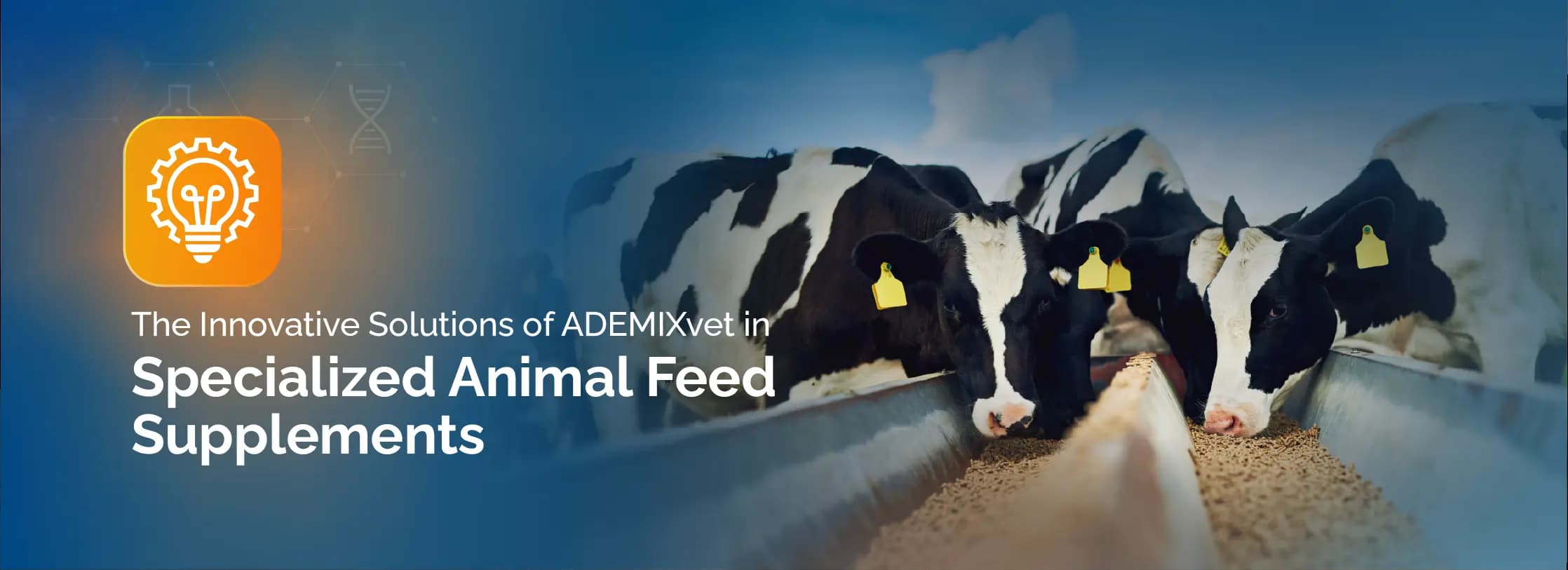 The Innovative Solutions of ADEMIXvet in Specialized Animal Feed Supplements