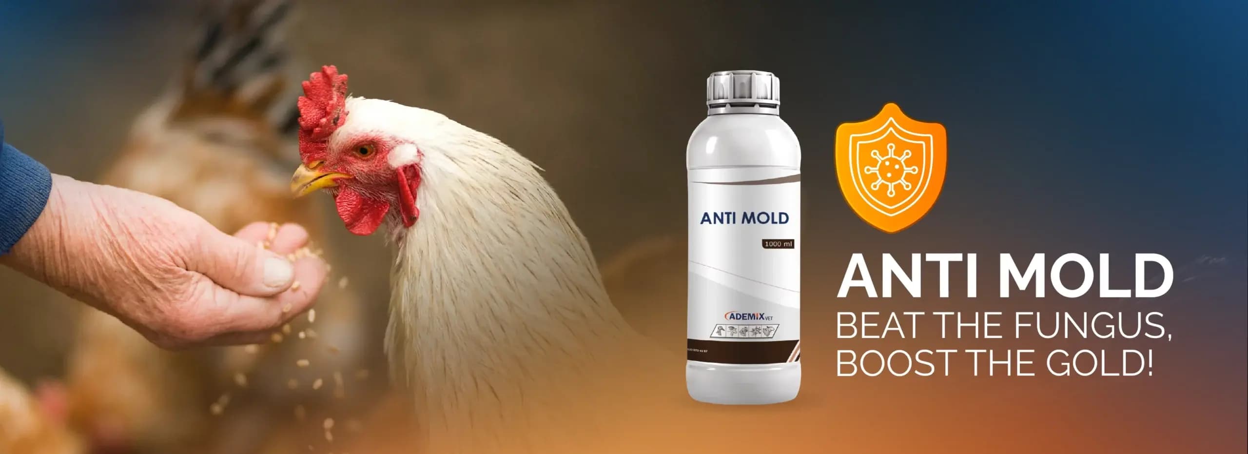 ANTI MOLD — "Beat the Mold, Boost the Gold!"