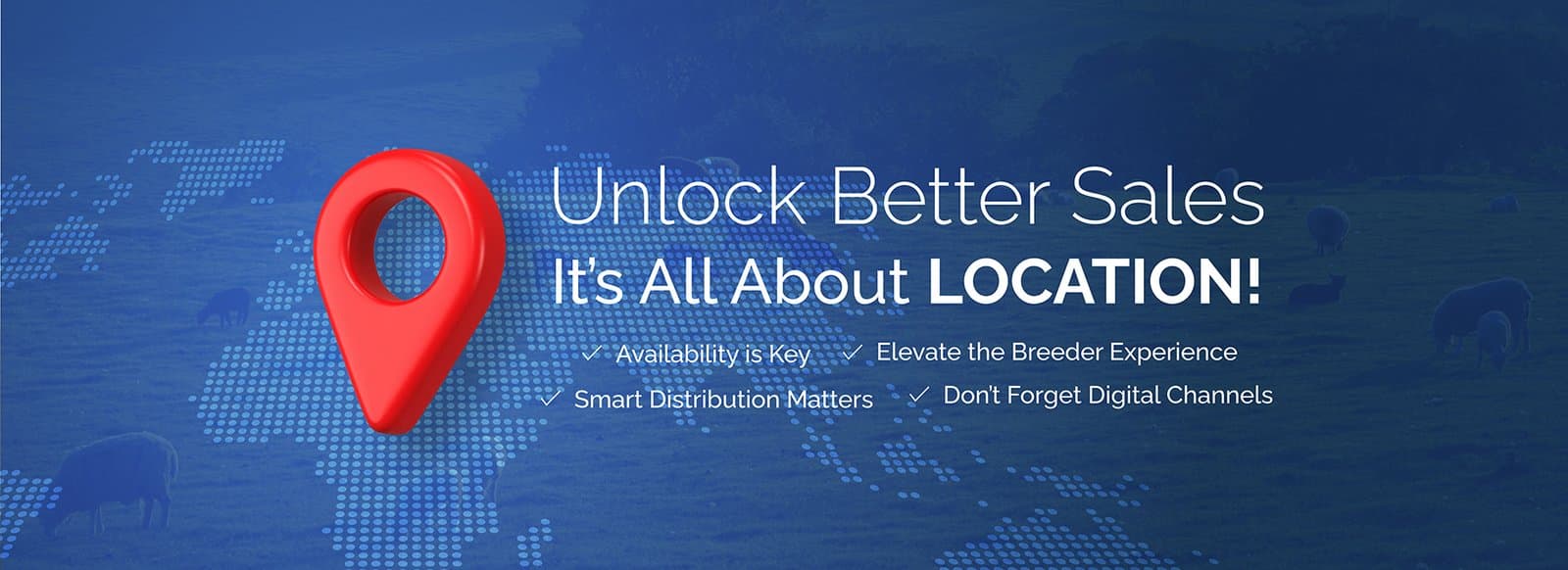 Unlock Better Sales: It’s All About Location