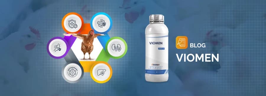 VIOMEN