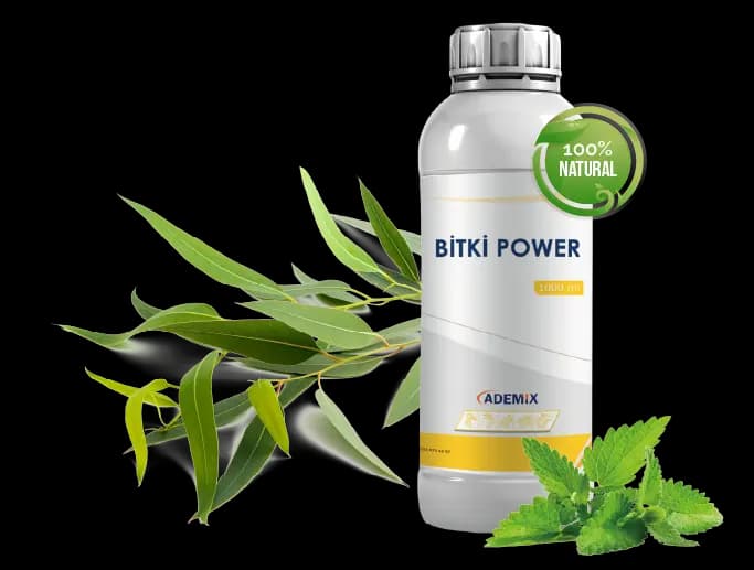 BITKI POWER