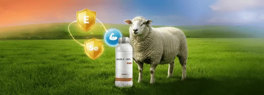 SELEN E – 20%