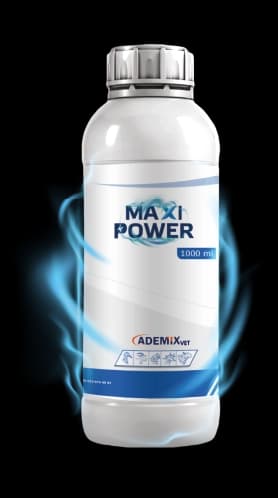 MAXI POWER