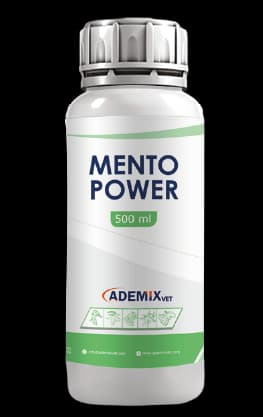 MENTO POWER