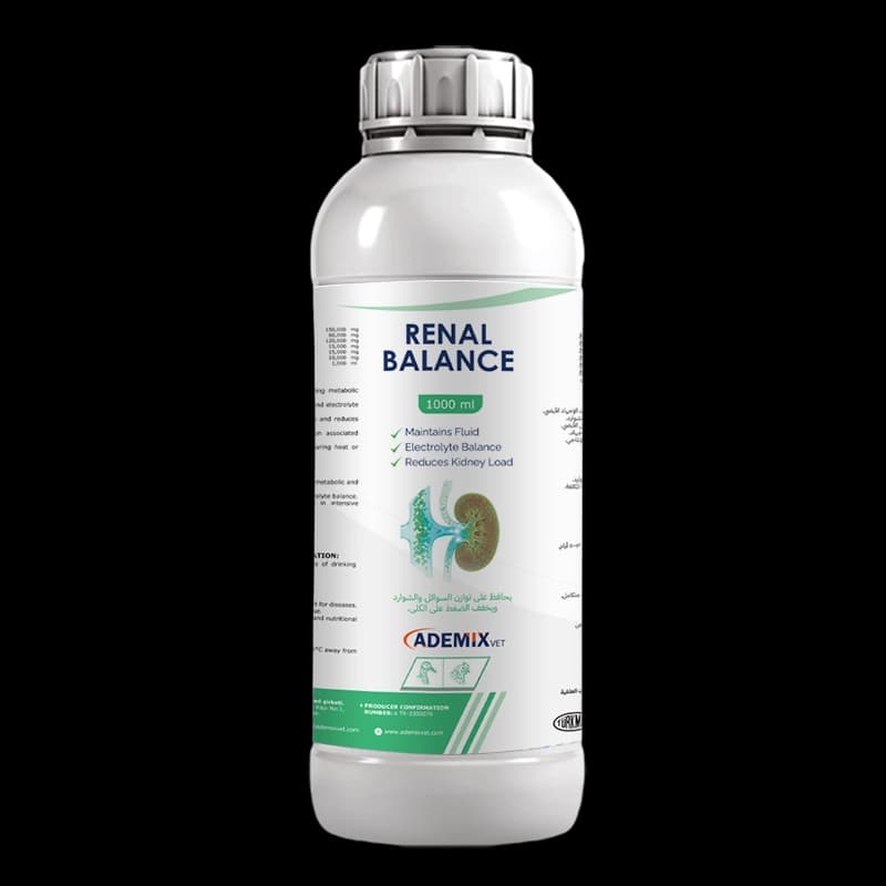 RENAL BALANCE