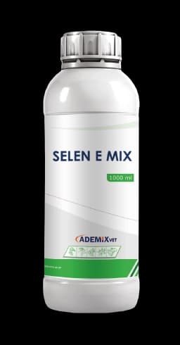 SELEN E MIX