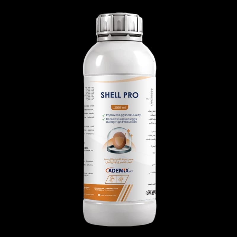 SHELL PRO