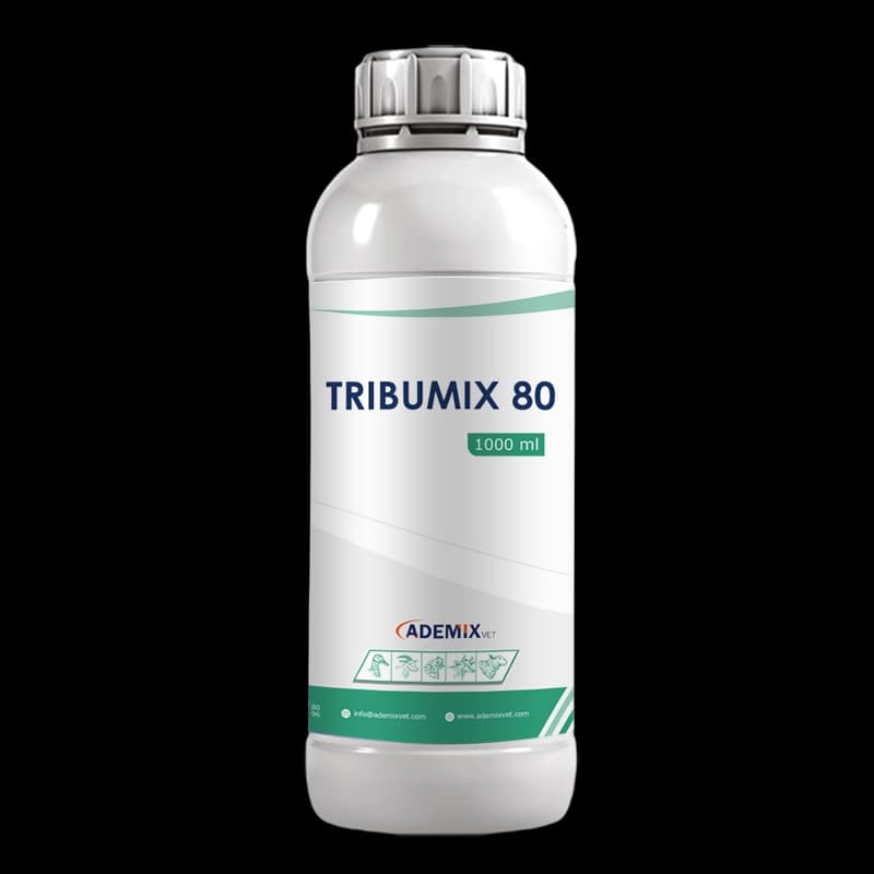 TRIBUMIX 80