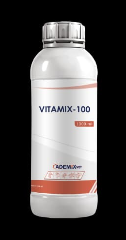 VITAMIX – 100