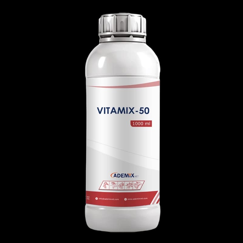 VITAMIX – 50